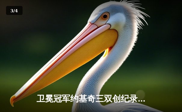 卫冕冠军约基奇三双创纪录，掘金加时鏖战力克勇士迎开门红 - 3